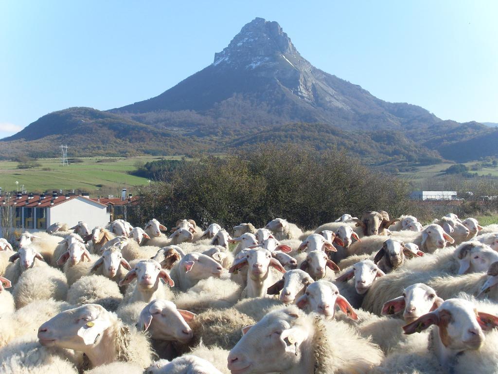 Casa Rural Reparaz Arbizu Esterno foto
